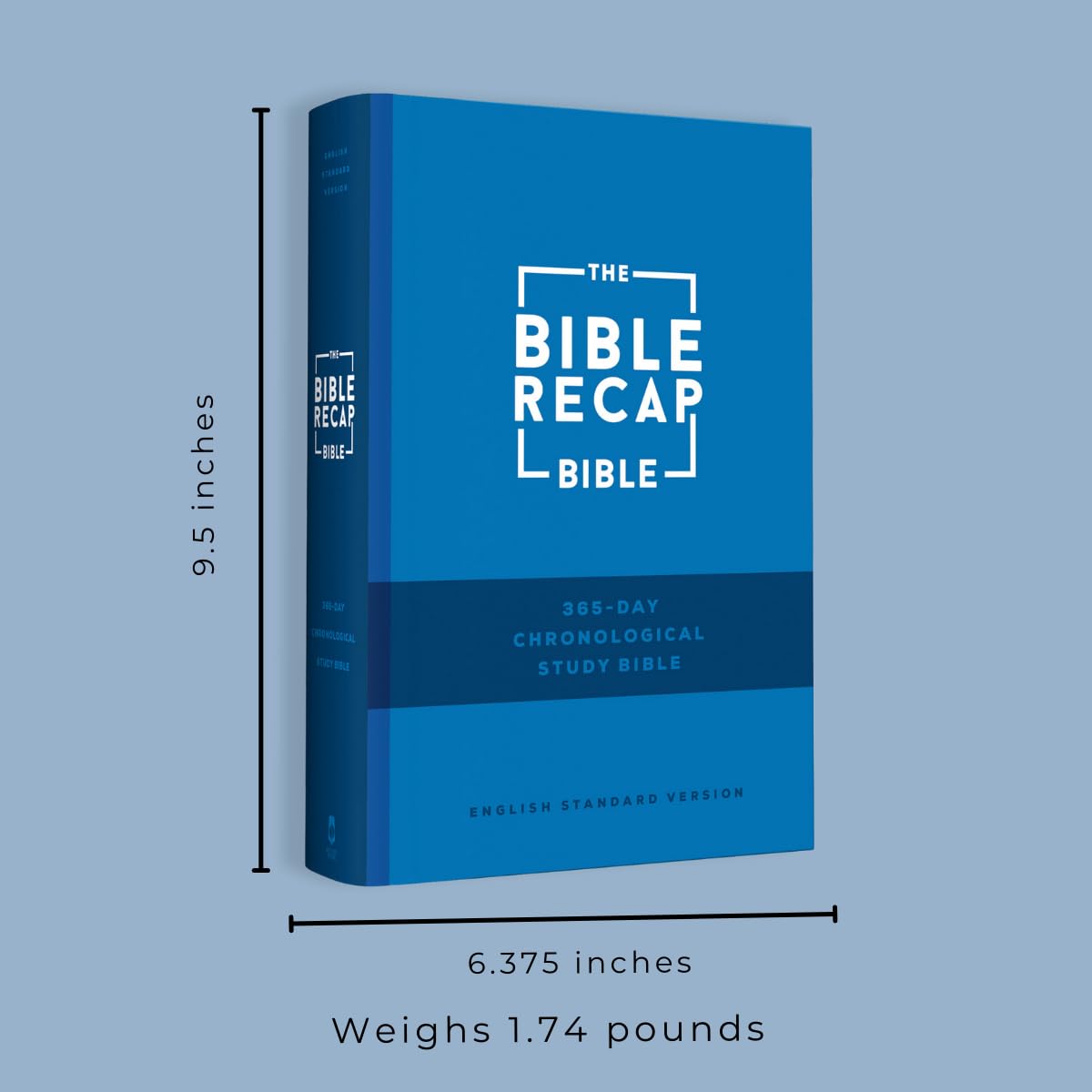 The Bible Recap 365-Day Chronological Study Bible: English Standard Version (ESV) - Tara-Leigh Cobble - Hardcover