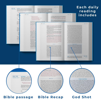 The Bible Recap 365-Day Chronological Study Bible: English Standard Version (ESV) - Tara-Leigh Cobble - Hardcover