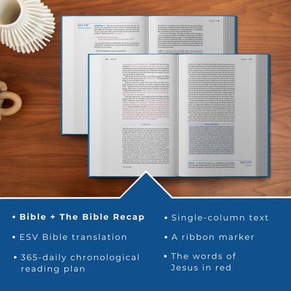 The Bible Recap 365-Day Chronological Study Bible: English Standard Version (ESV) - Tara-Leigh Cobble - Hardcover