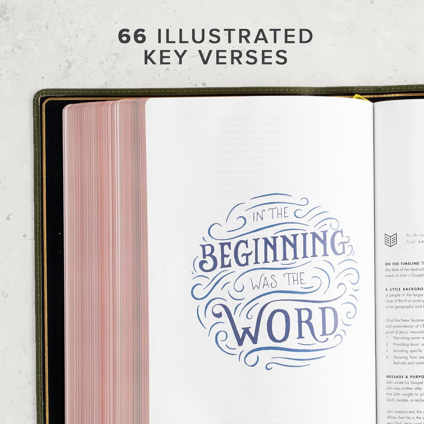 CSB She Reads Truth Bible (Holman Handcrafted Collection, Olive Premium Calfskin) - Leather Bound