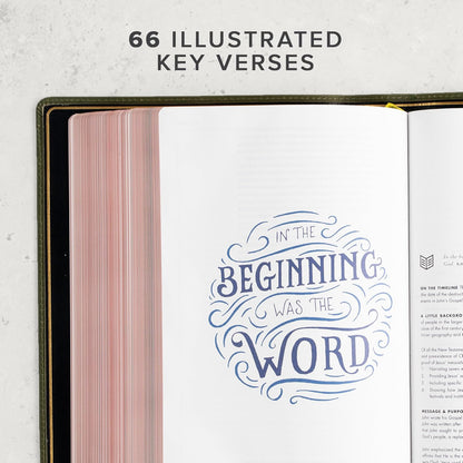 CSB She Reads Truth Bible (Holman Handcrafted Collection, Olive Premium Calfskin) - Leather Bound