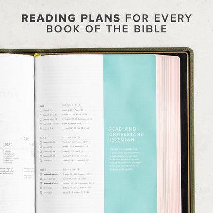 CSB She Reads Truth Bible (Holman Handcrafted Collection, Olive Premium Calfskin) - Leather Bound