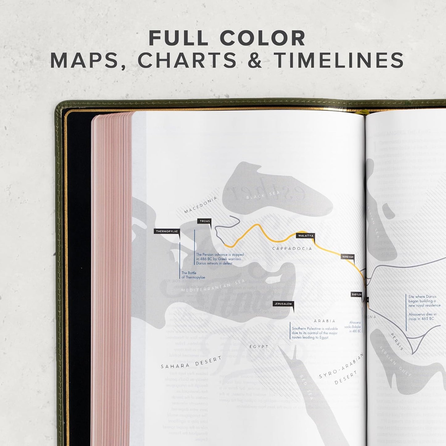 CSB She Reads Truth Bible (Holman Handcrafted Collection, Olive Premium Calfskin) - Leather Bound