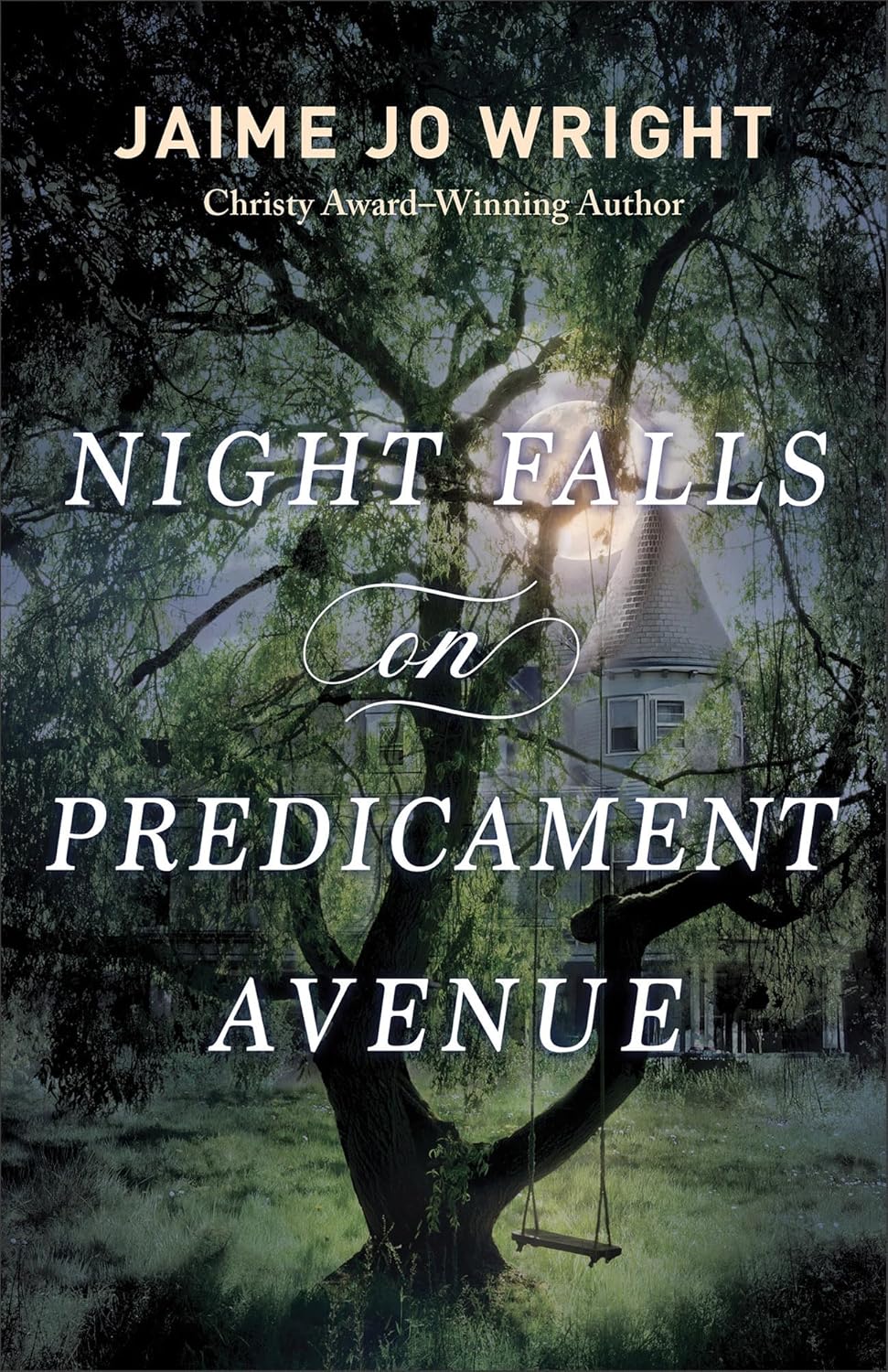 Night Falls on Predicament Avenue - Jamie Jo Wright - Paperback